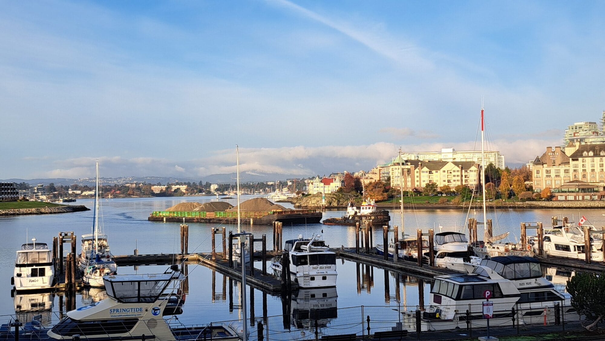 Beautiful marina filled with sailboats and yachts in a scenic waterfront setting.