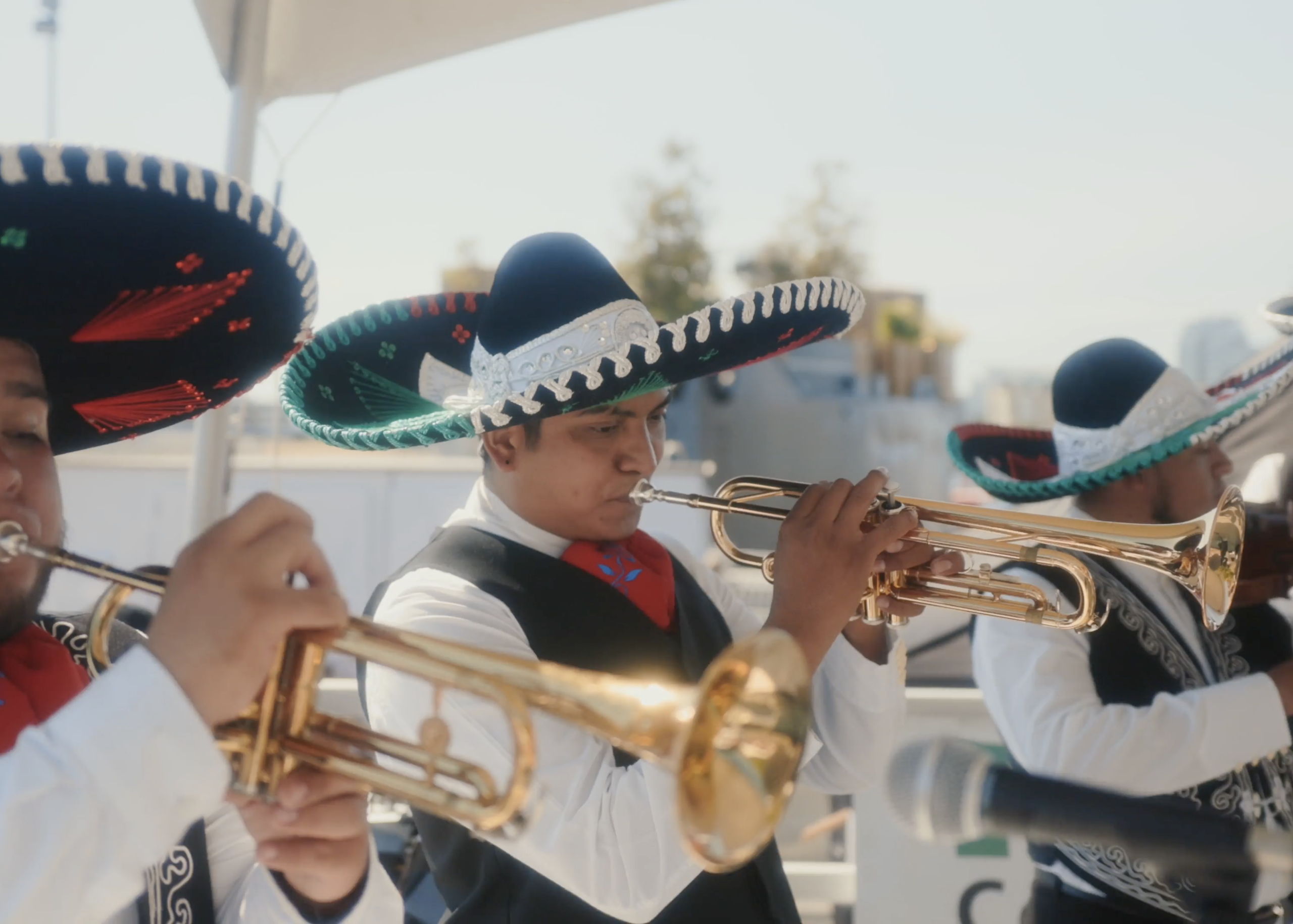 Musicians at Festival Mexicano