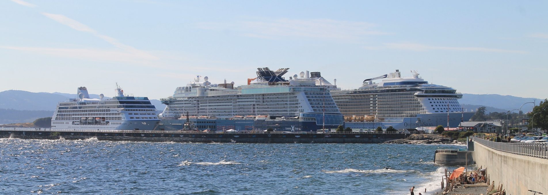 A view of three ships at Ogden Point from Dallas Road.
