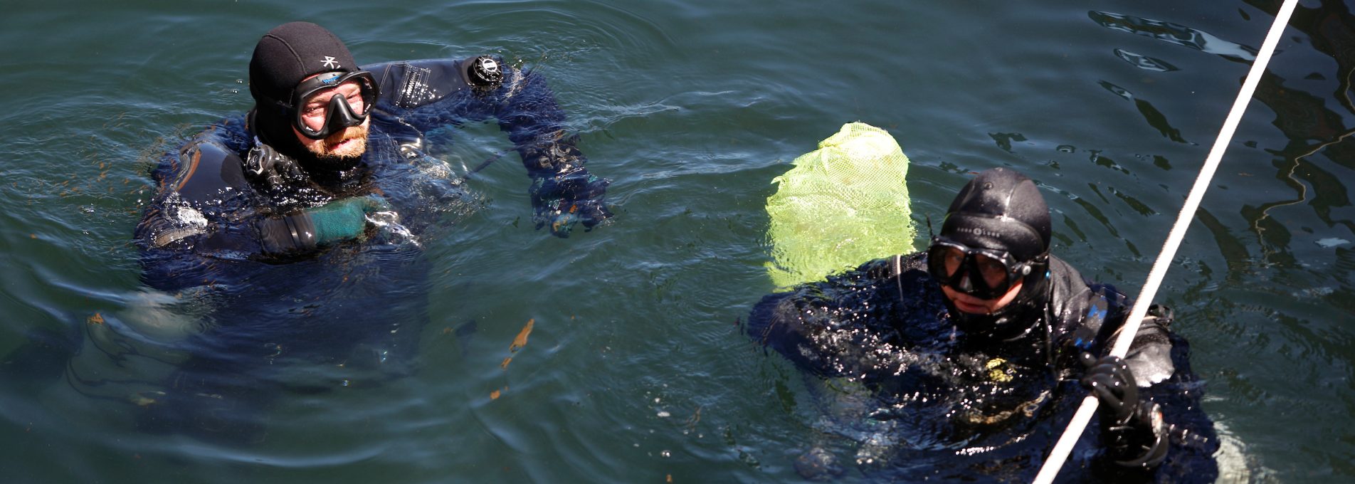 Divers at World Ocean Day